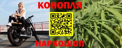 мдпв Пугачёв