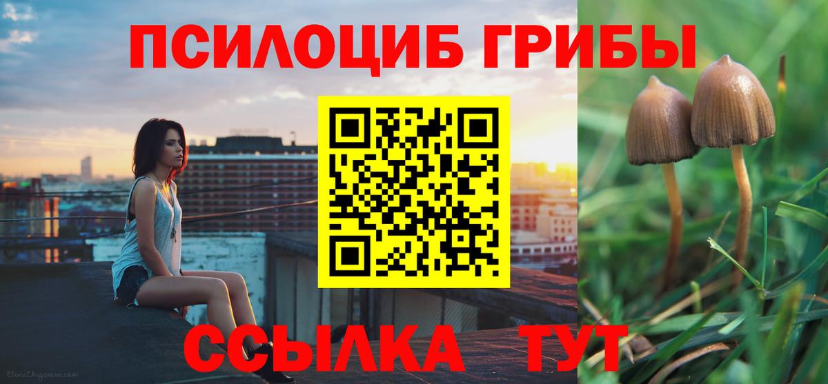 Сатка  Псилоцибиновые грибы прущие грибы  дарнет шоп  Вход с VPN  Псилоцибиновые грибы GOLDEN TEACHER 