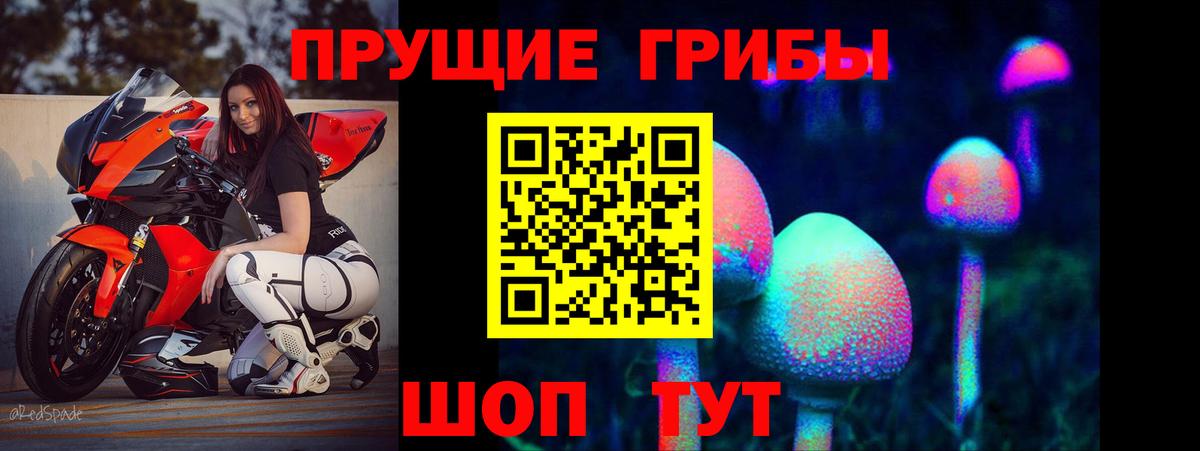 Галлюциногенные грибы Psilocybe Сатка